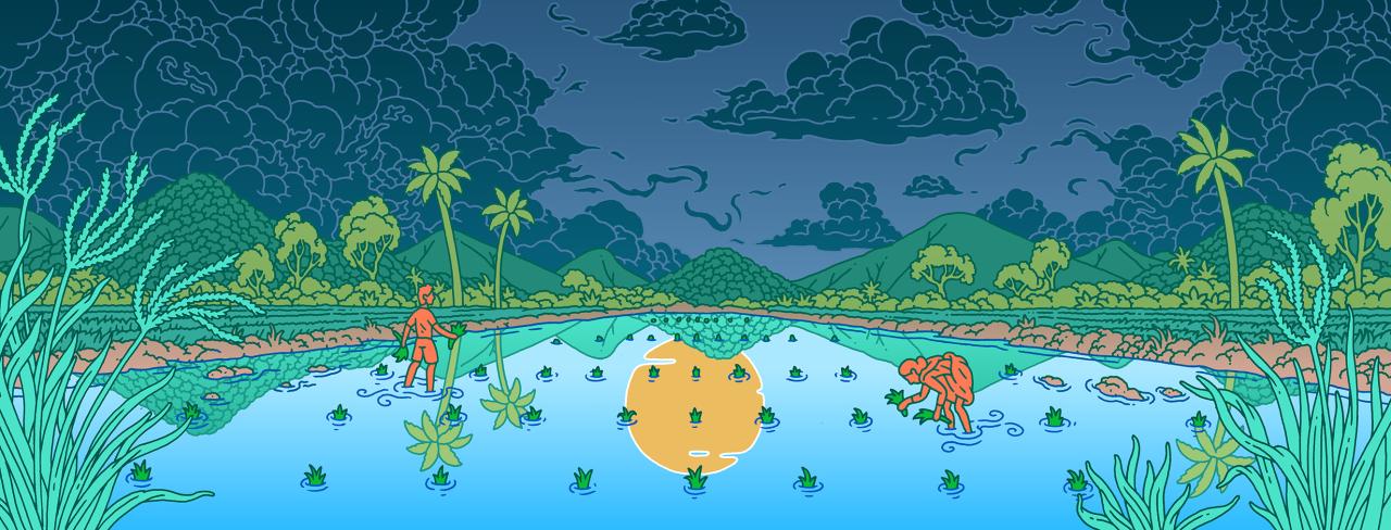 Illustration of a farm in India during monsoon season