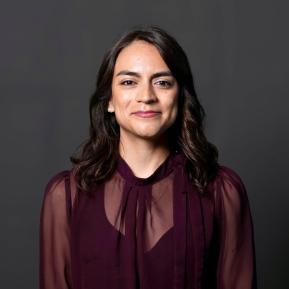 A portrait of a person with long, wavy dark hair wearing a sheer dark purple blouse, with their face obscured. The background is a dark, solid color, emphasizing the subject.