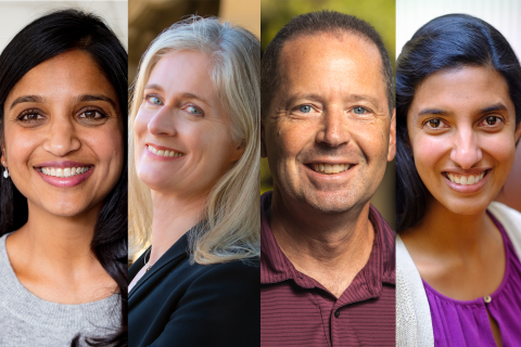 Stanford faculty members Anisha Patel, Suzan Carmichael, Ira Lit and Gopi Shah Goda will serve as Scholars in Service in 2021-22.