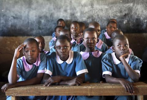 A group of children at desks in a classroom