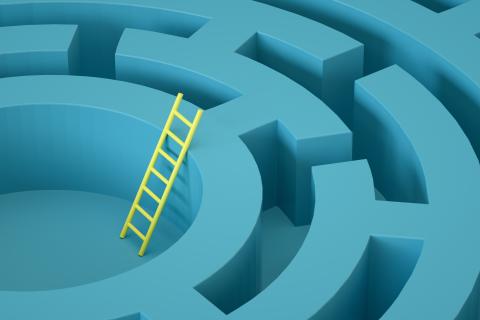 Image of blue circular maze with yellow ladder. Ladder leads to the top of maze.