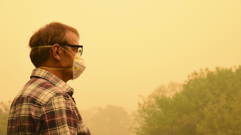 Wildfire smoke