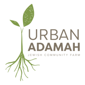 urban adamah logo